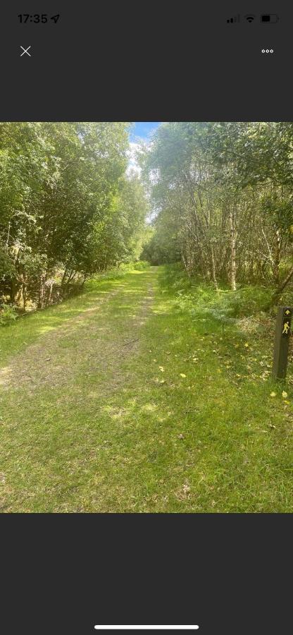 Market Street Shepherd'S Hut Leitrim Dromahair Exterior foto